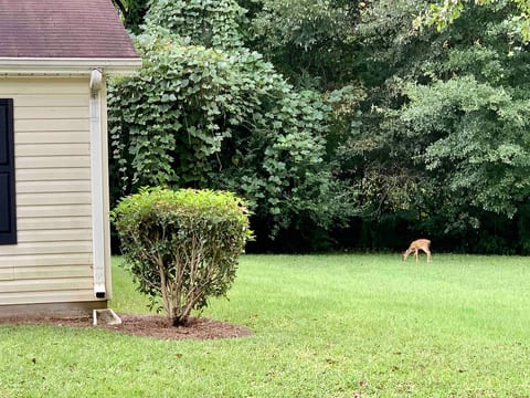 Retreat by UWG/Southwire/Tanner - 3BR/2BA Sleeps 8
