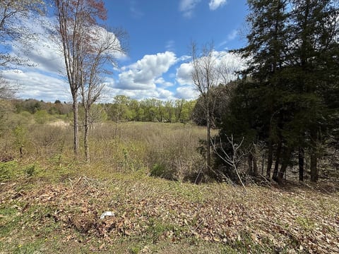 Private secluded Cabin on Tug & Brantingham trails image 3