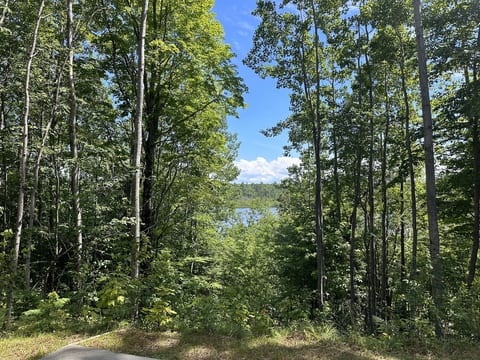 View from back patio overlooking Furnace Lake (no lake access) in the summer