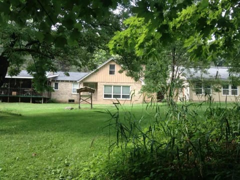 Backyard and house