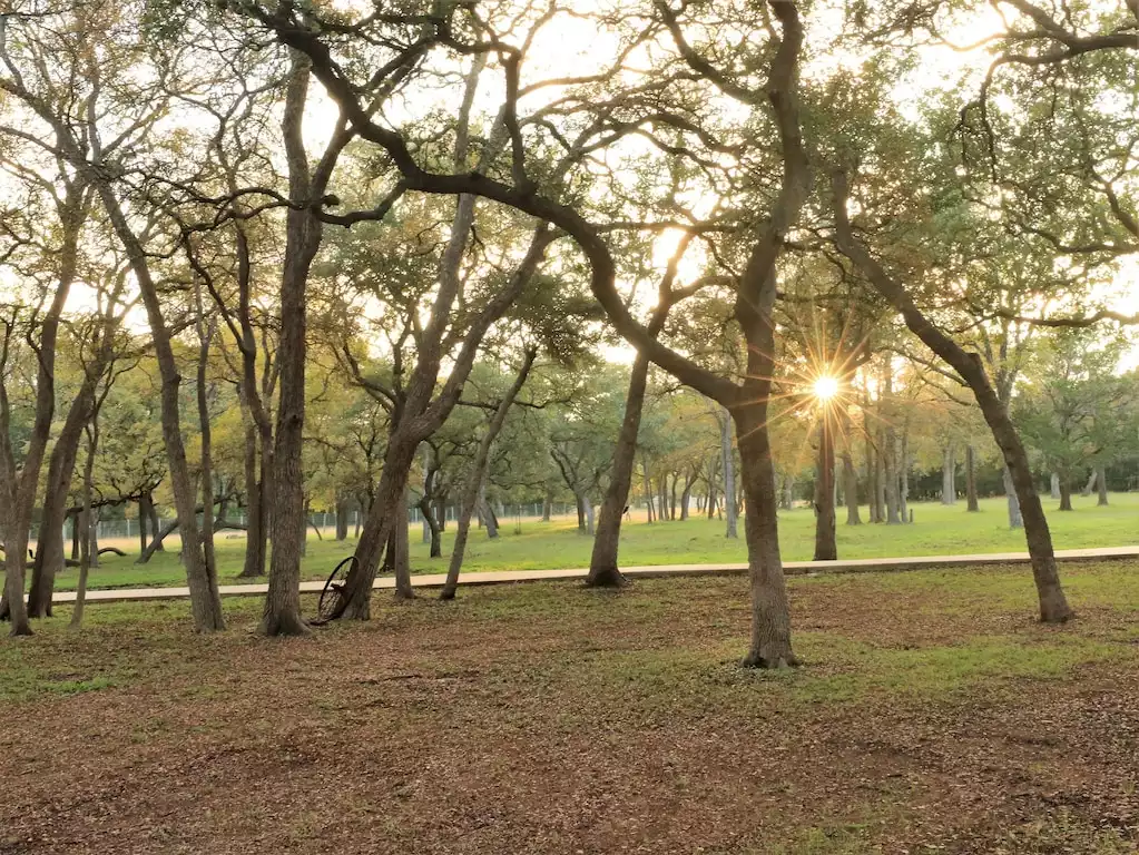 Front yard full of trees. Front yard full of trees. - Main House at Whispering Oaks Estate - Dripping Springs