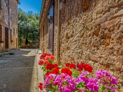 Il Cardo