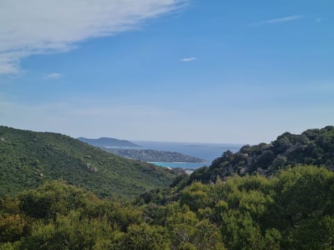 View