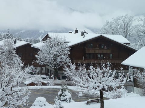 Suzanne Nr. 18