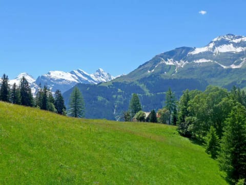 Tschingelhorn Apt. R