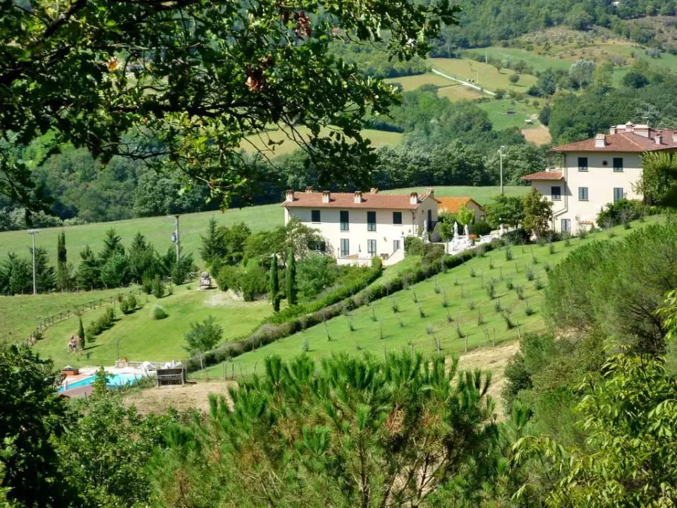 Vigna La Corte - Dicomano