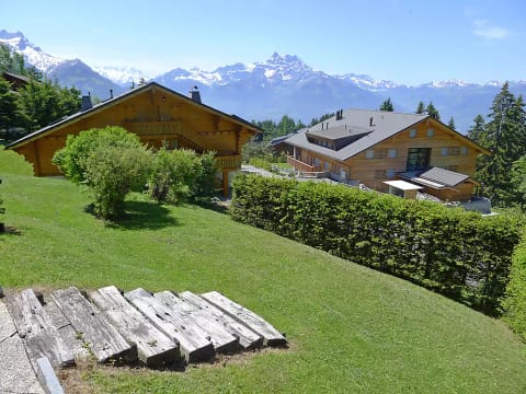 Le Bouquetin 1