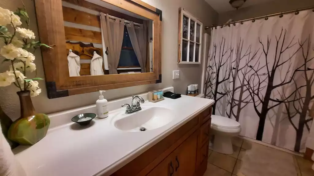 Master Bathroom - The Mountain Forager Cabin - Swain County