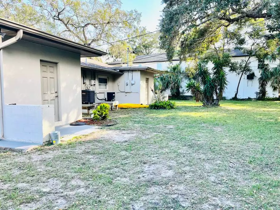 Shared backyard - Quiet getaway in Tarpon Springs - Tarpon Springs