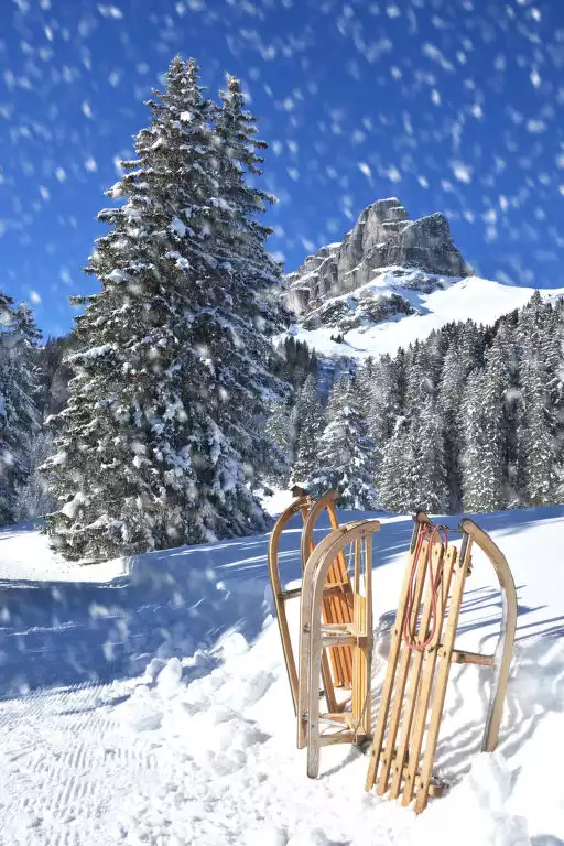 Perla - Prättigau Davos District