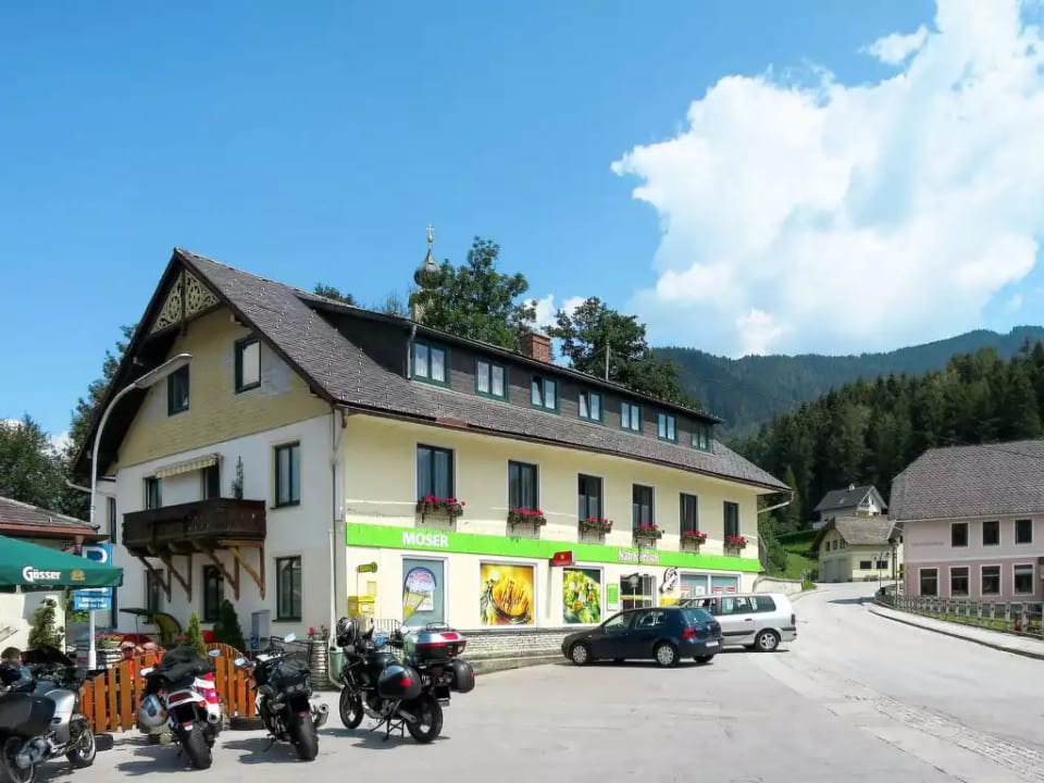 Moser - Stein an der Enns