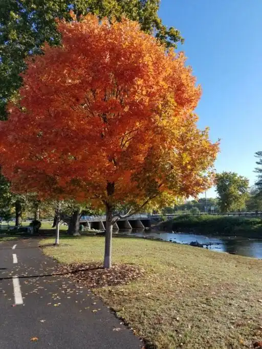 Walking the Hawksbill Greenway - The Sterling at Briar Laine House - Luray