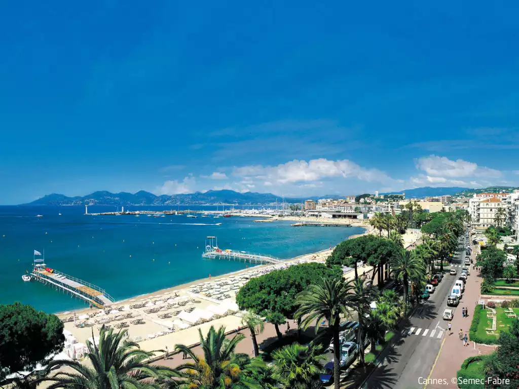 Les Pins D'Alep - Cannes