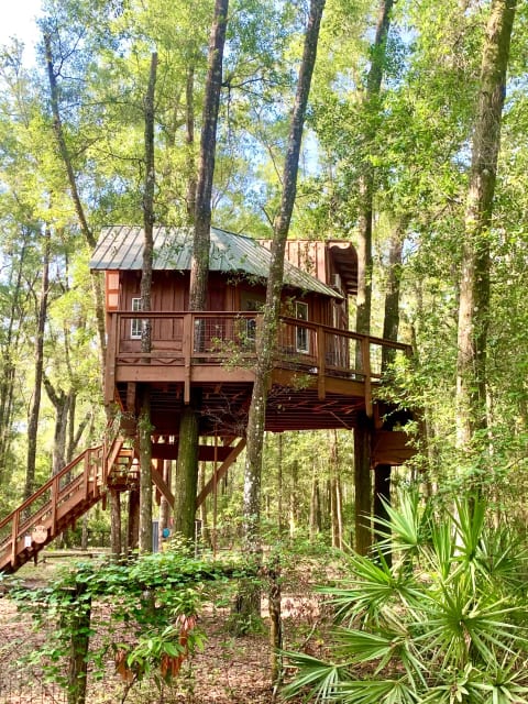 The back deck of the treehouse.