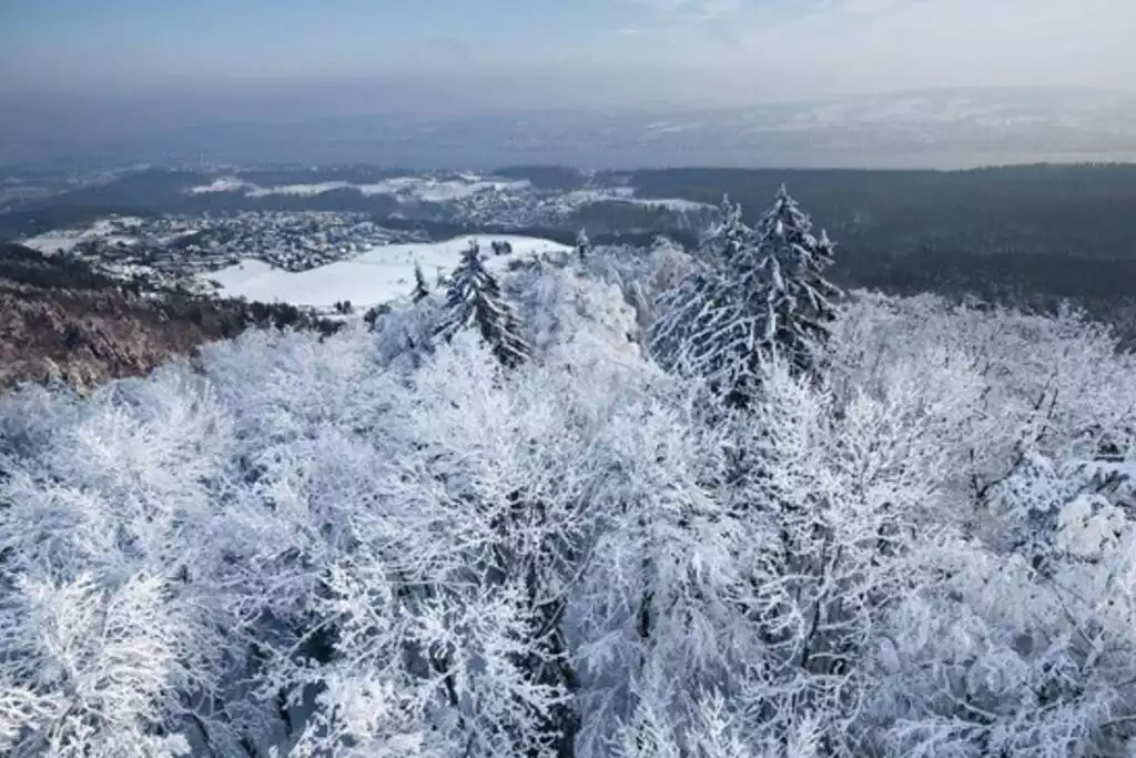 Sihlwald _Forest  20min awyay - find this gougeous viewpoint when exploring this nature park! - Discover Zürich & relax comfortably - Zürich