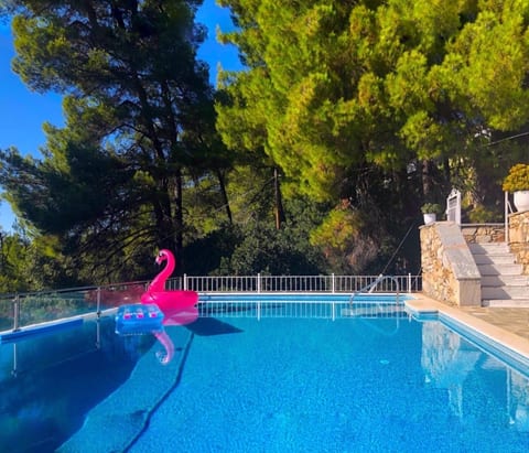 Relax in Villa Maestrali Large Pool