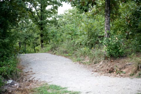 Nothing reduces stress more than being in the midst of trees & nature. Explore the many hiking trails surrounding Carlton Landing.
