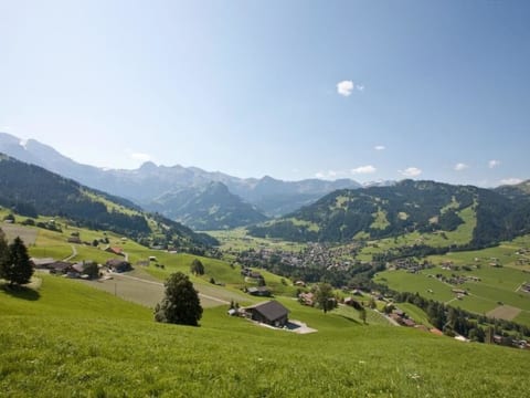 Brandegg 4