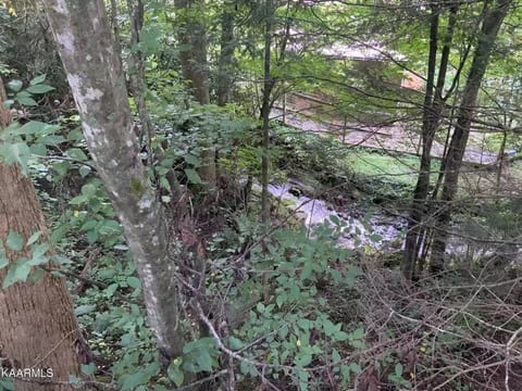NEW! Creekside Couple's Retreat, Enjoy tranquility