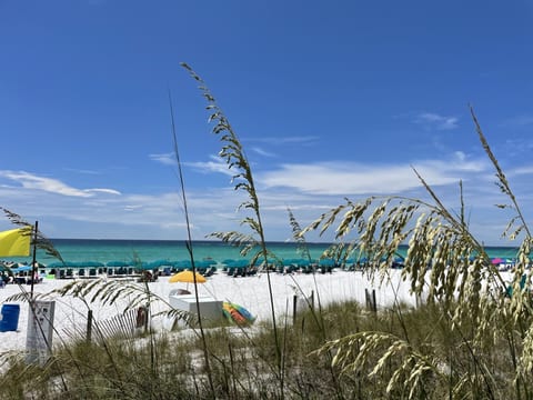 Dunes and beach
