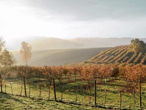 Jura dla Ciebie