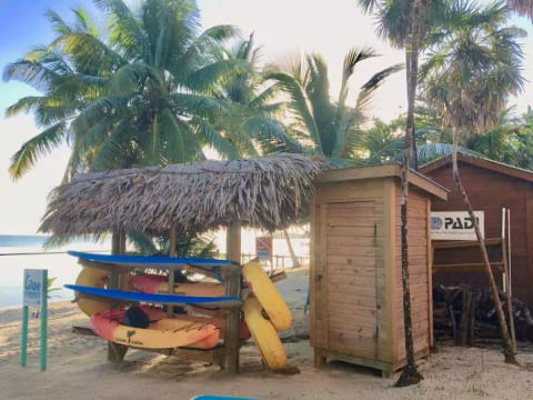 Beach Toys for your use!