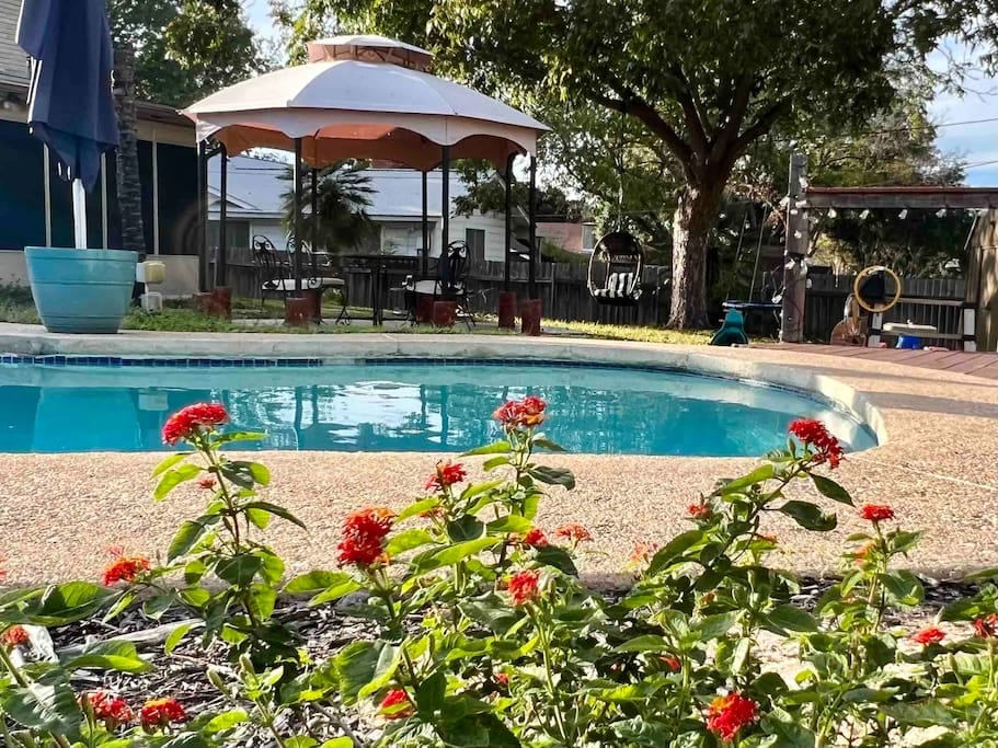 The back yard has a swimming pool and plenty of shade!