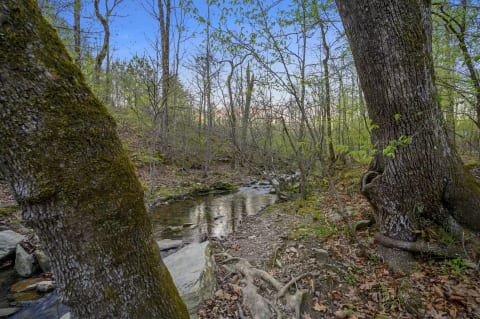 Adventure Awaits, Creekside