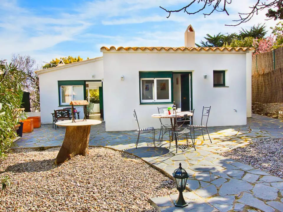 Mimosa - Cadaqués