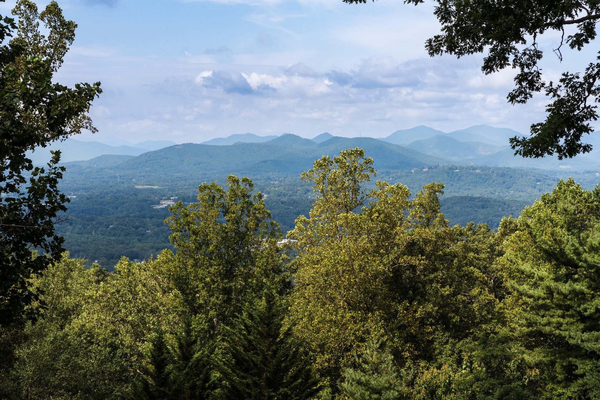 Daytime View - Main Floor Deck