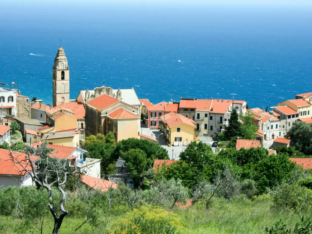 Bouganvilla (SLR402) - San Lorenzo al Mare