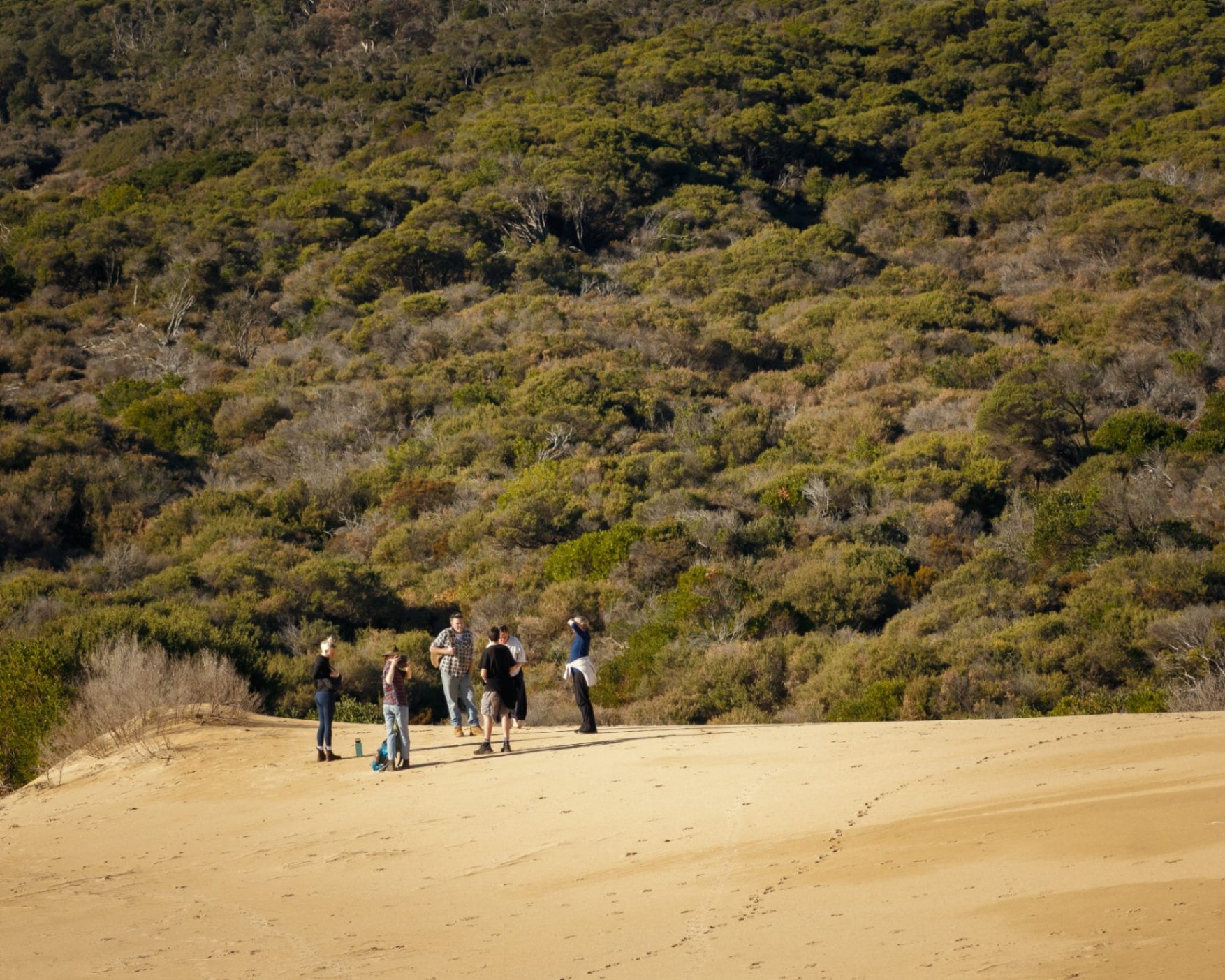 Driftwood Coastal Cottage ~Woodfire~Linen~The Prom - Walkerville