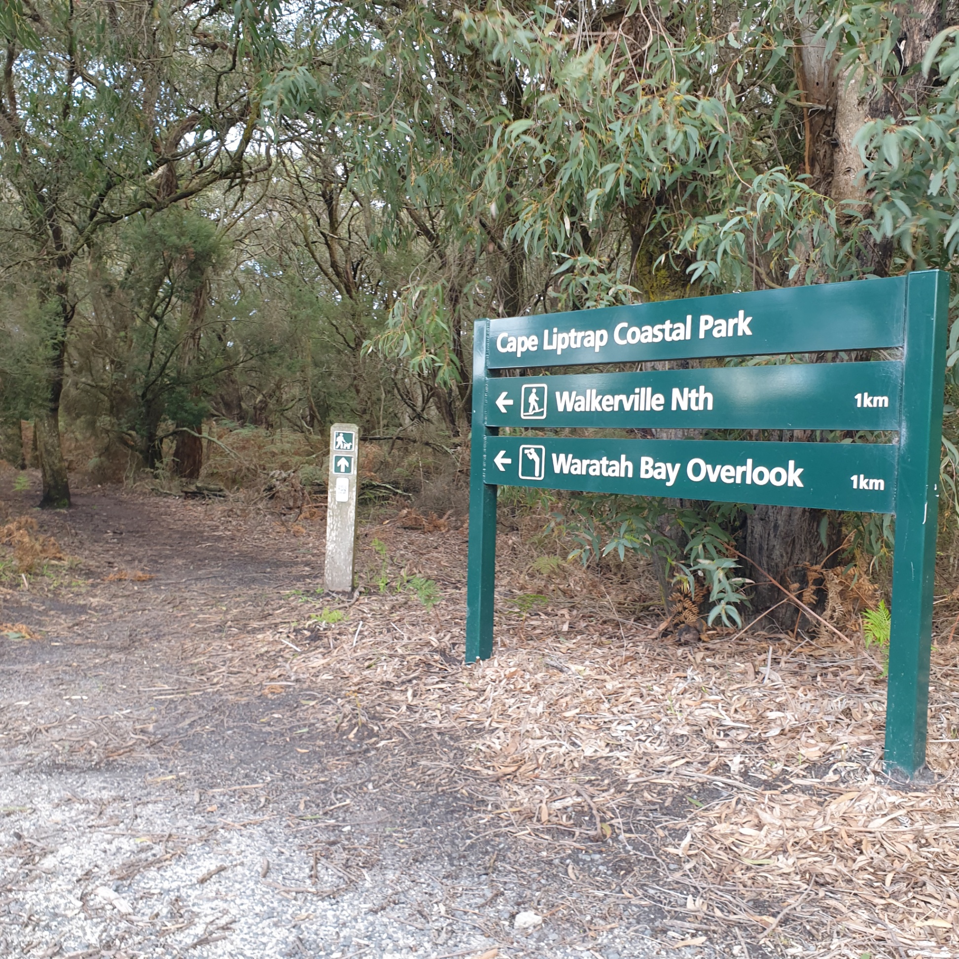 Walking track to spectacular  lookout & beach not far from the Cottage.