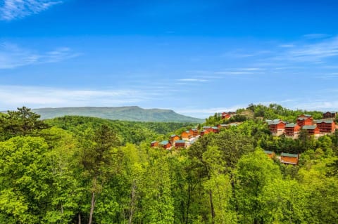 Top of the Smokies - Brand-New Luxury Pool Cabin!