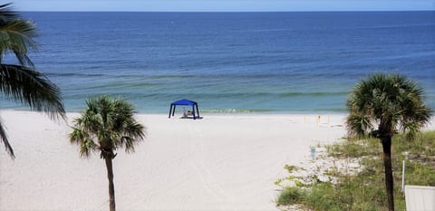 Renovated Beach Paradise. Ground Floor unit 64 image 1