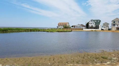 From across wetlands behind house