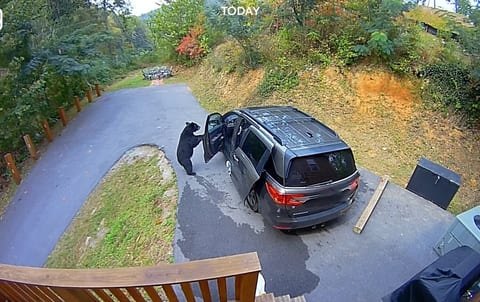 ☆1 mi to Gatlinburg Strip☆ 3BR, Hot tub+FirePit