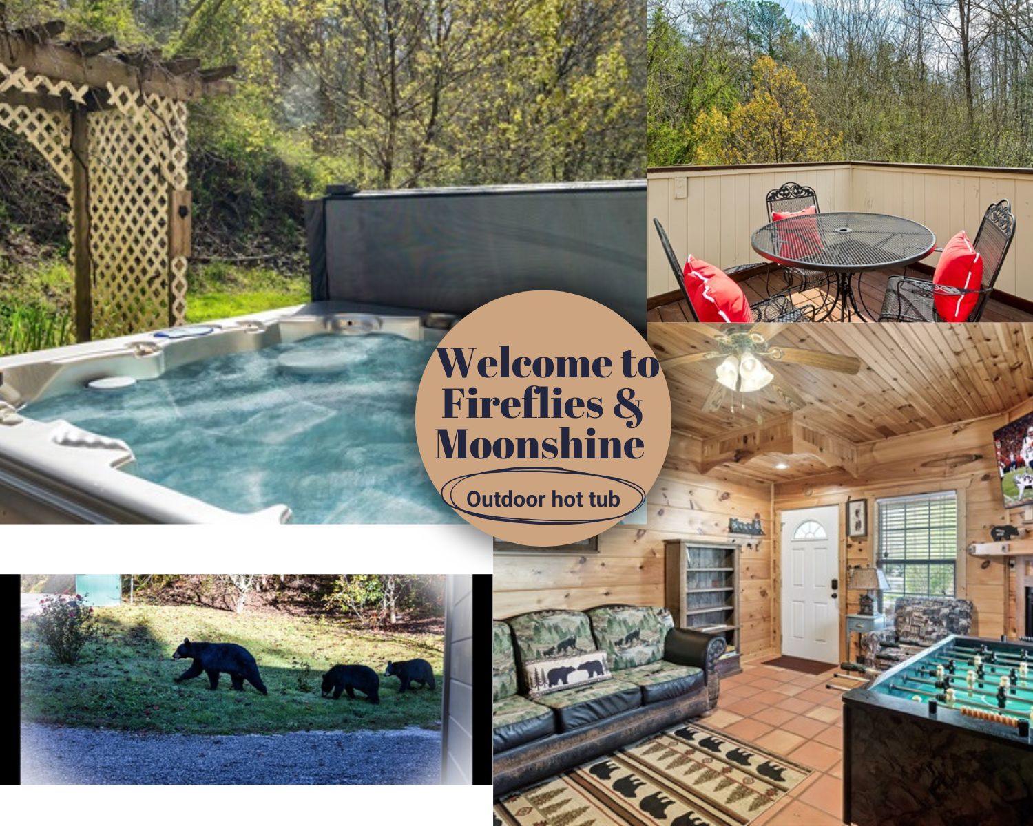 fireflies-and-moonshine/