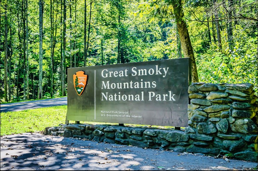 fireflies-and-moonshine/