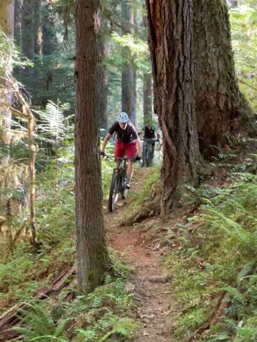 Westfir River Cottage - Westfir