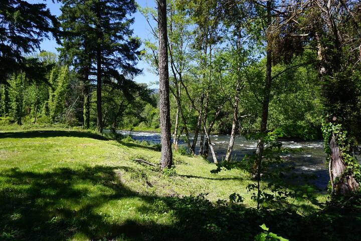 Westfir River Cottage - Westfir