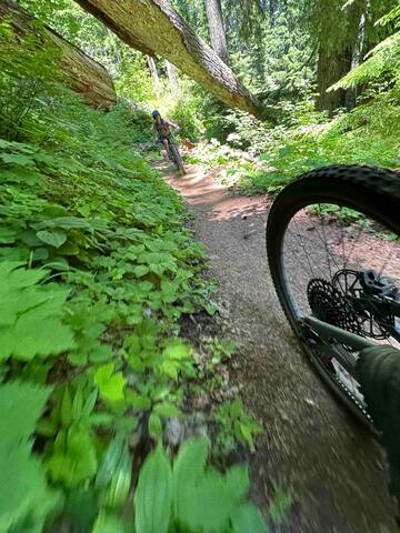 Westfir River Cottage - Westfir