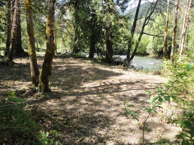 Westfir River Cottage - Westfir