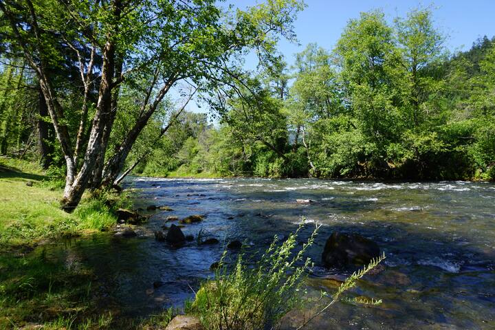 Westfir River Cottage - Westfir