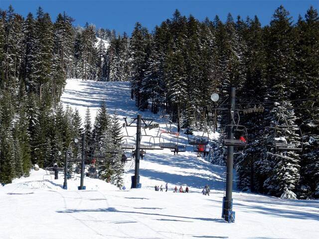 Westfir River Cottage - Westfir