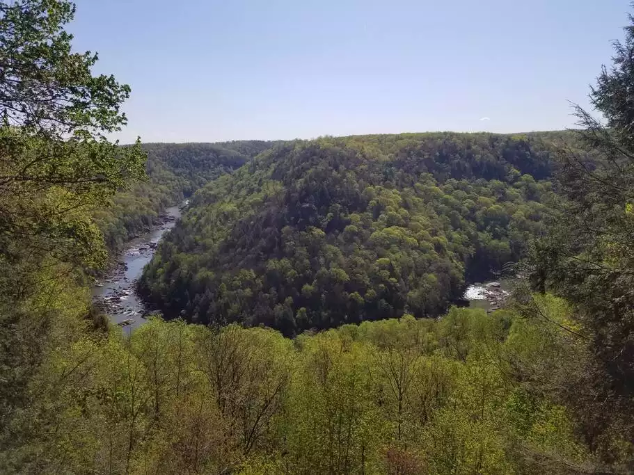 Gauley River overlook at Carnifex Ferry Battlefield State Park. 20 mins away - The Wanderer at McFadden Ridge WV- Hot tub - Mount Nebo