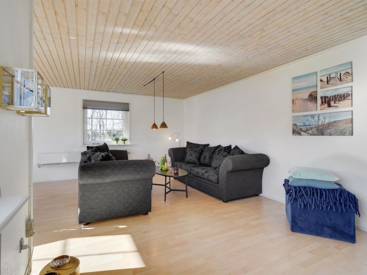 Living roomType - Harrieth - 16km from the sea in Western Jutland - Højer Municipality