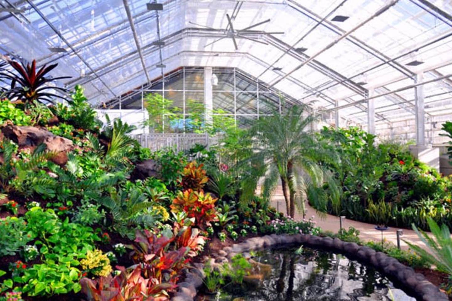 Butterfly Biosphere, Thanksgiving Point- Fascinating for you and/or your children to see all sorts of insects and butterflies, all indoors!