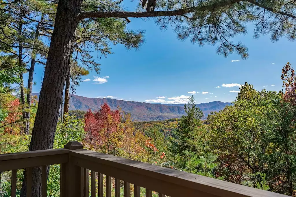 Beautiful fall colors at Closer to Heaven - Closer to Heaven Cabin - Sevierville