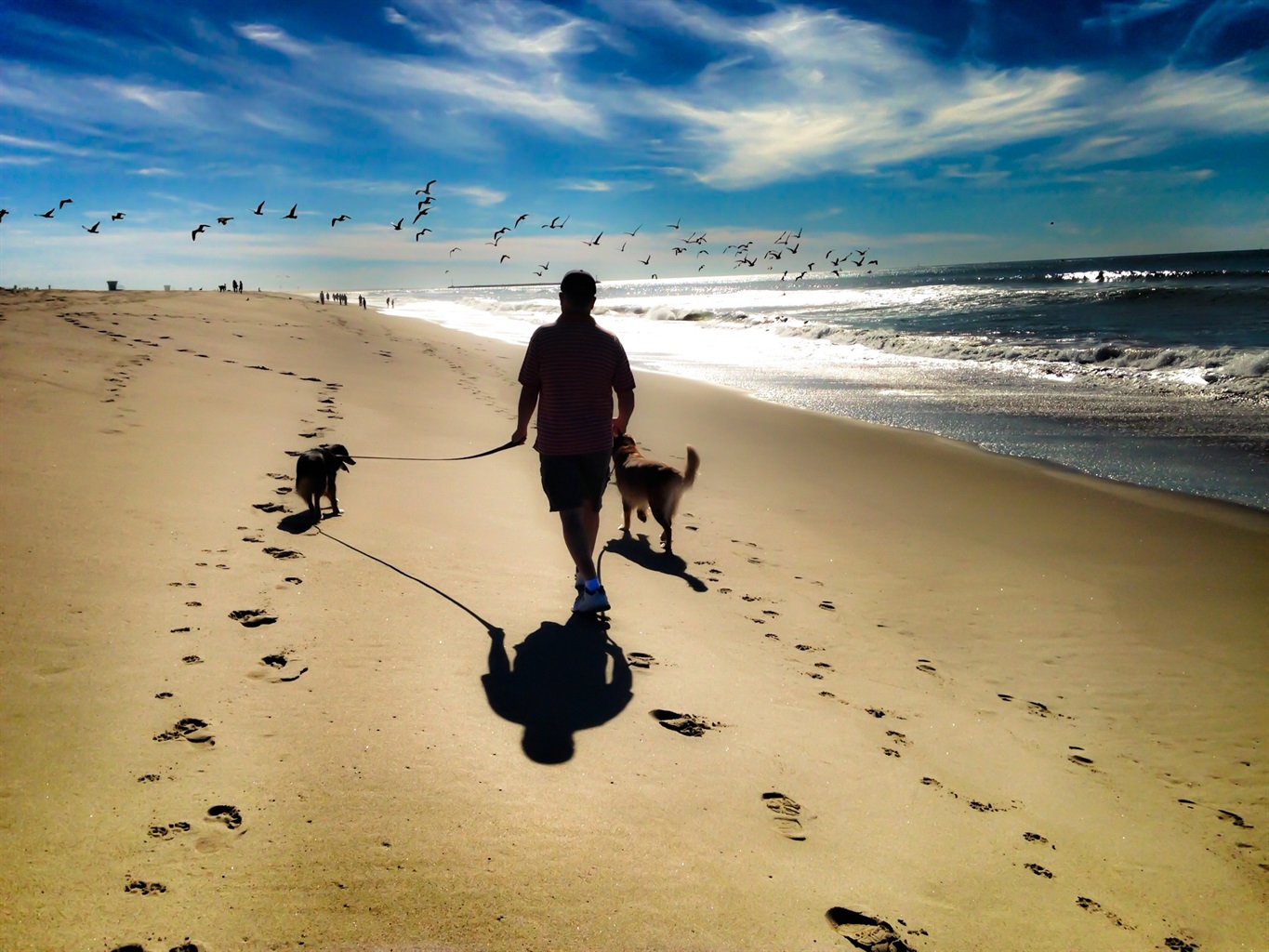 Furbabies welcome! Just make sure you keep them leashed and pick up waster. - Sunsets and Sailboats - Oxnard